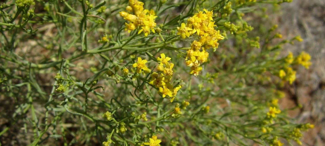 Sorry, no alternate text available