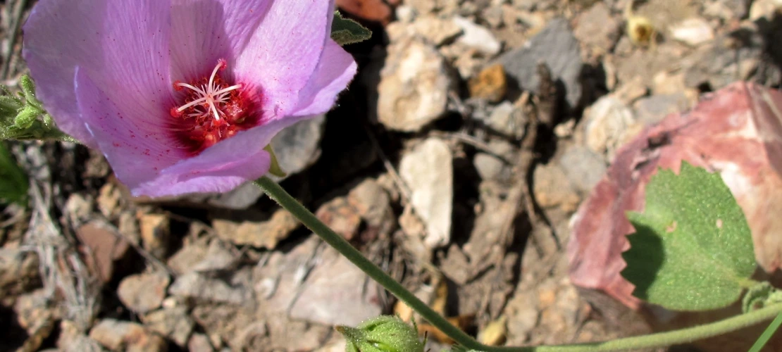 Sorry, no alternate text available