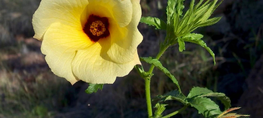 Sorry, no alternate text available