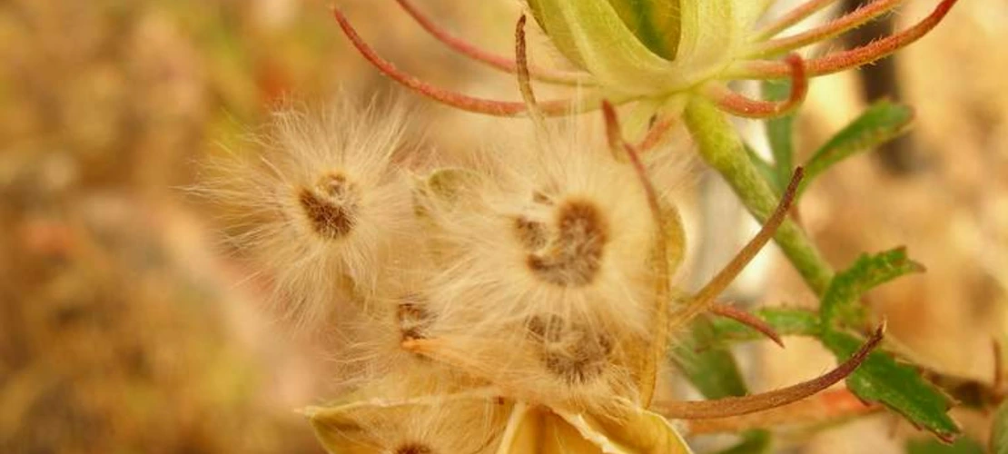 Sorry, no alternate text available