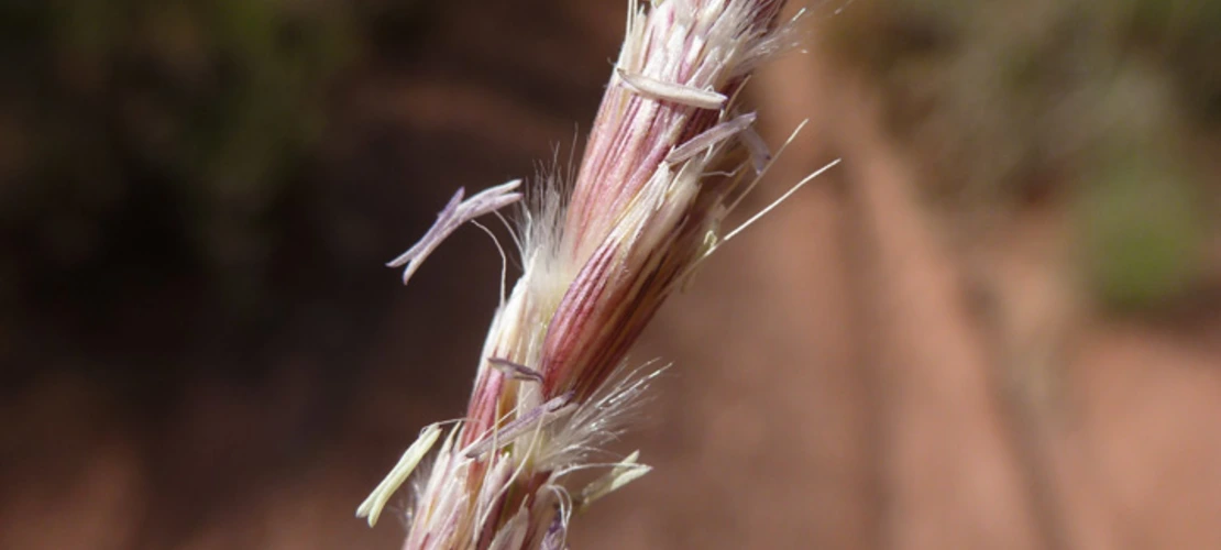 Sorry, no alternate text available