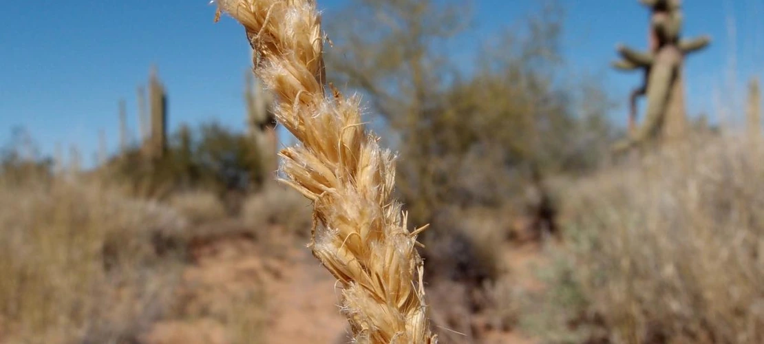 Sorry, no alternate text available