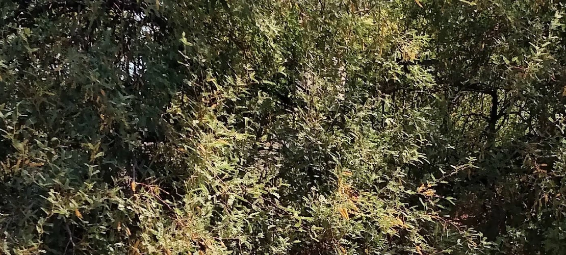 Sorry, no alternate text available