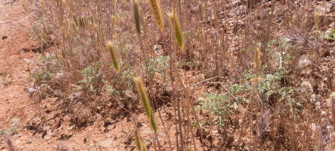 Sorry, no alternate text available