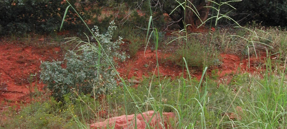 Sorry, no alternate text available