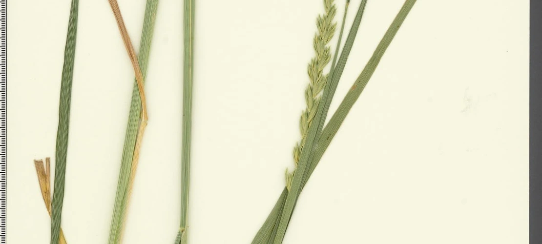 Sorry, no alternate text available