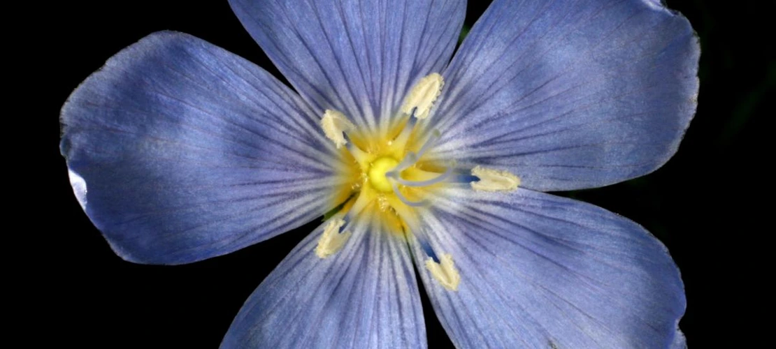 Sorry, no alternate text available