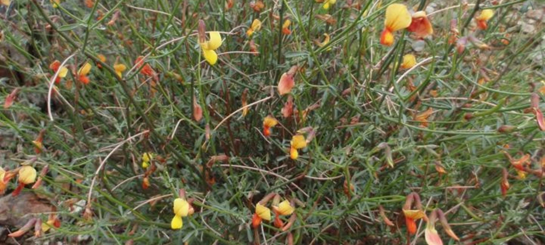 Sorry, no alternate text available