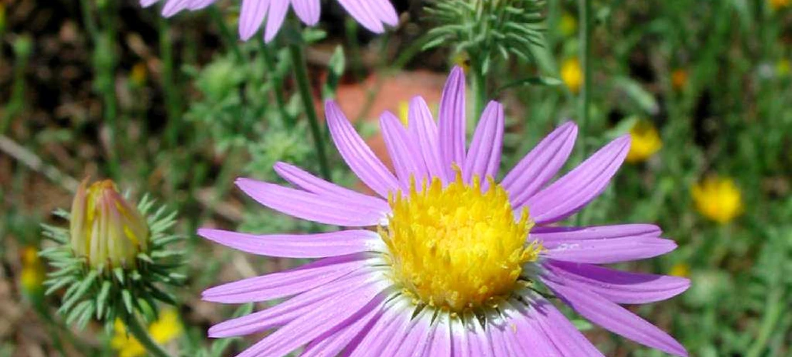 Sorry, no alternate text available