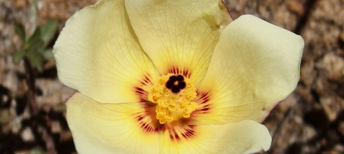 Sorry, no alternate text available