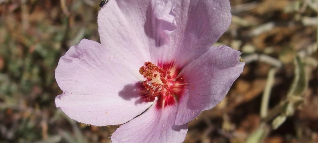 Sorry, no alternate text available