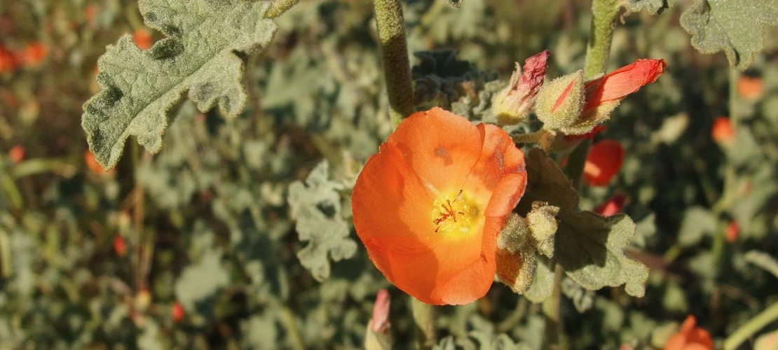 Sorry, no alternate text available