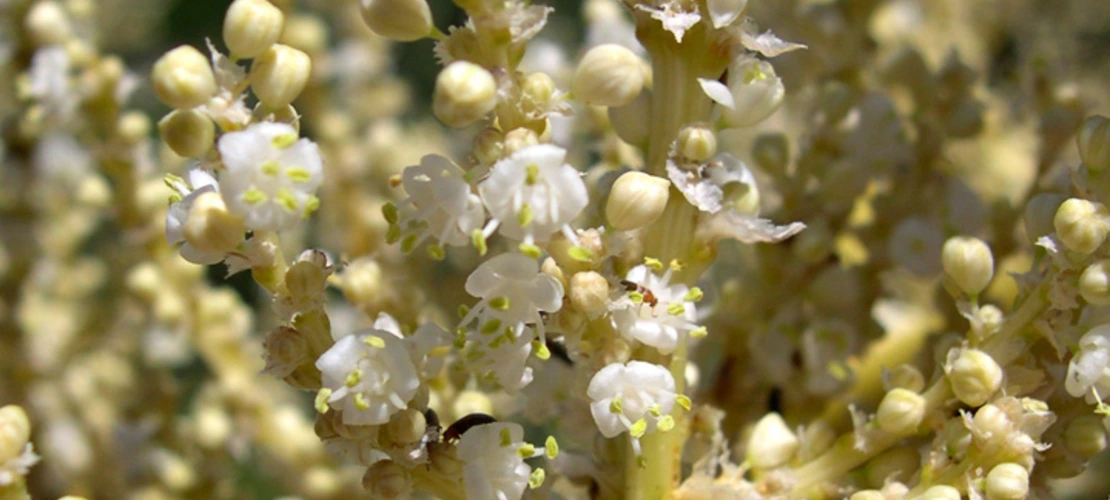 Sorry, no alternate text available