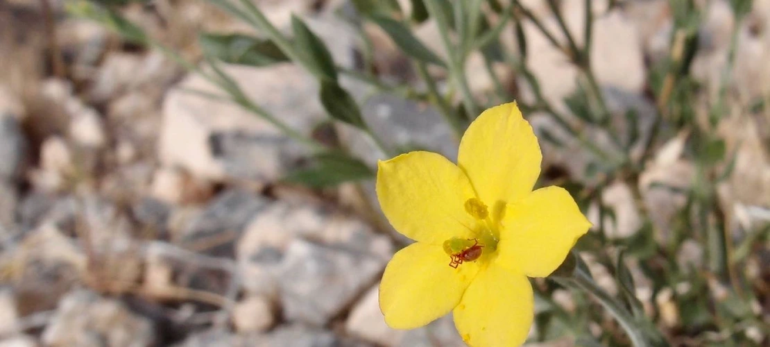 Sorry, no alternate text available