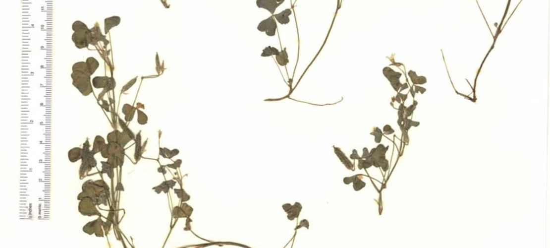 Sorry, no alternate text available