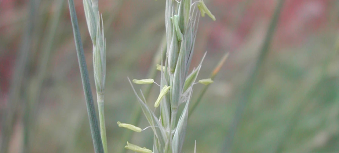 Sorry, no alternate text available