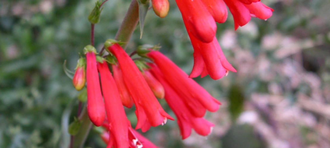 Sorry, no alternate text available