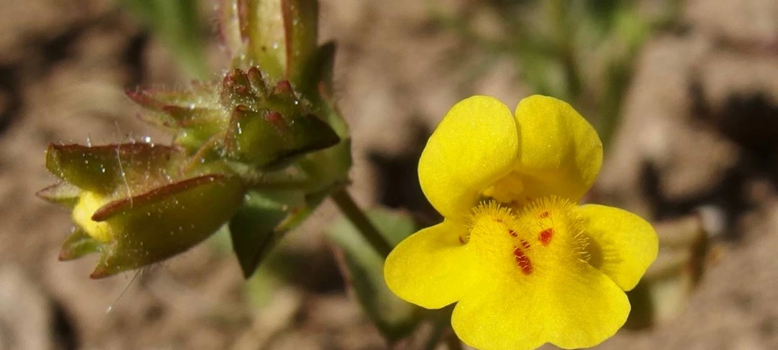 Sorry, no alternate text available