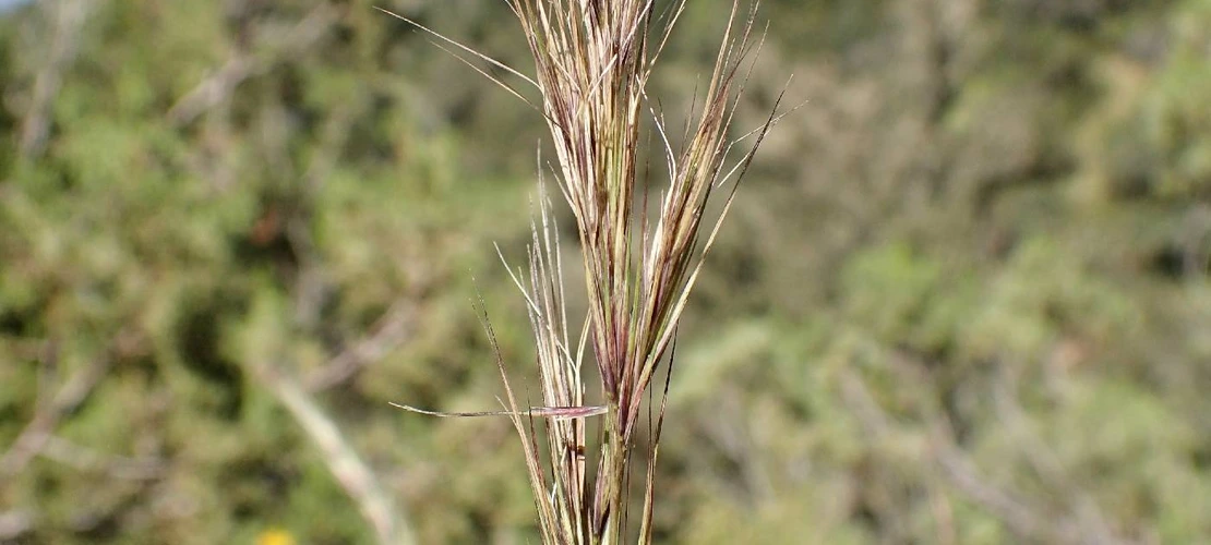 Sorry, no alternate text available