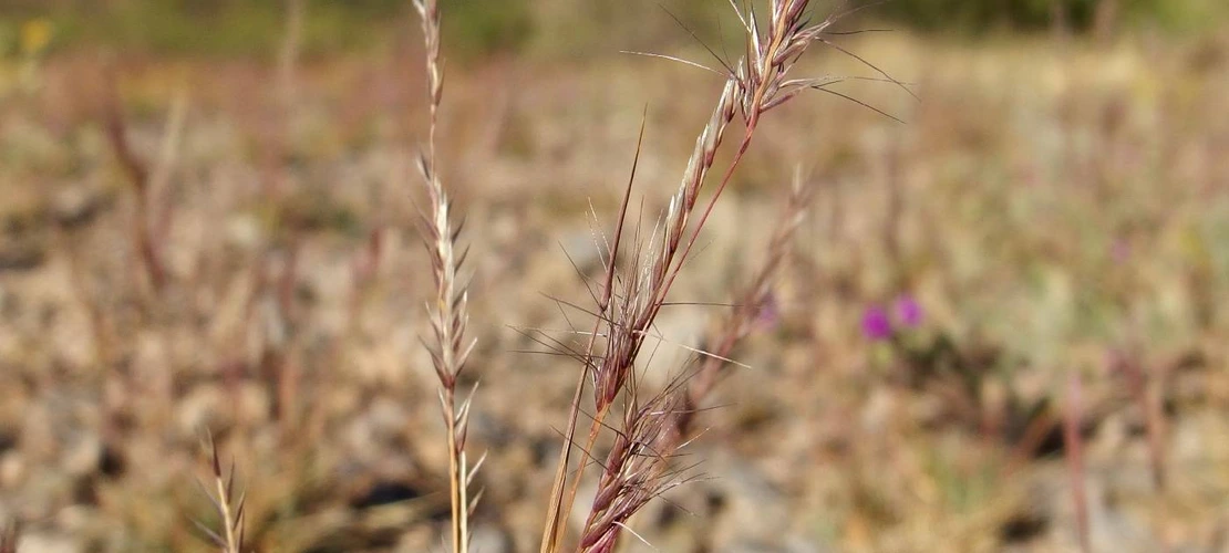 Sorry, no alternate text available