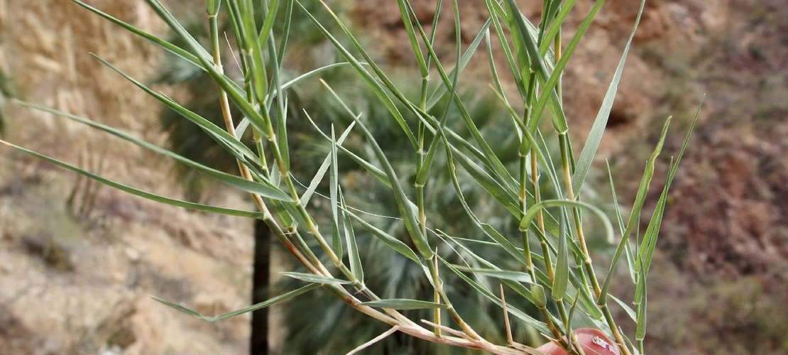 Sorry, no alternate text available