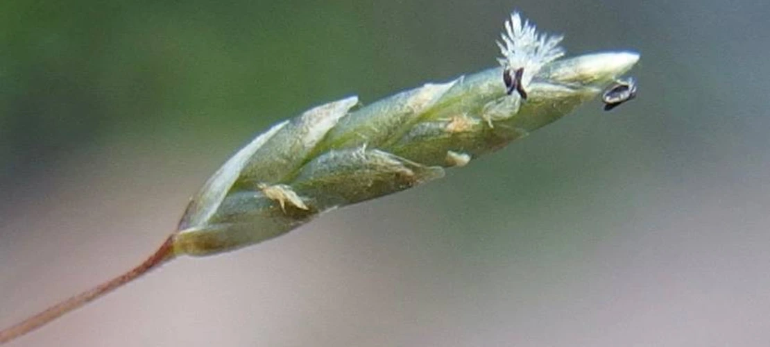 Sorry, no alternate text available