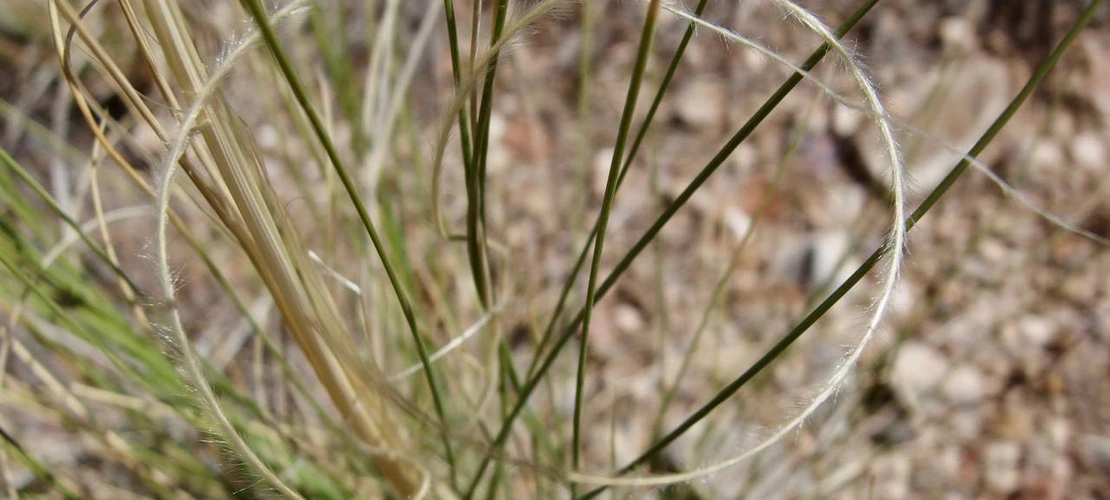 Sorry, no alternate text available