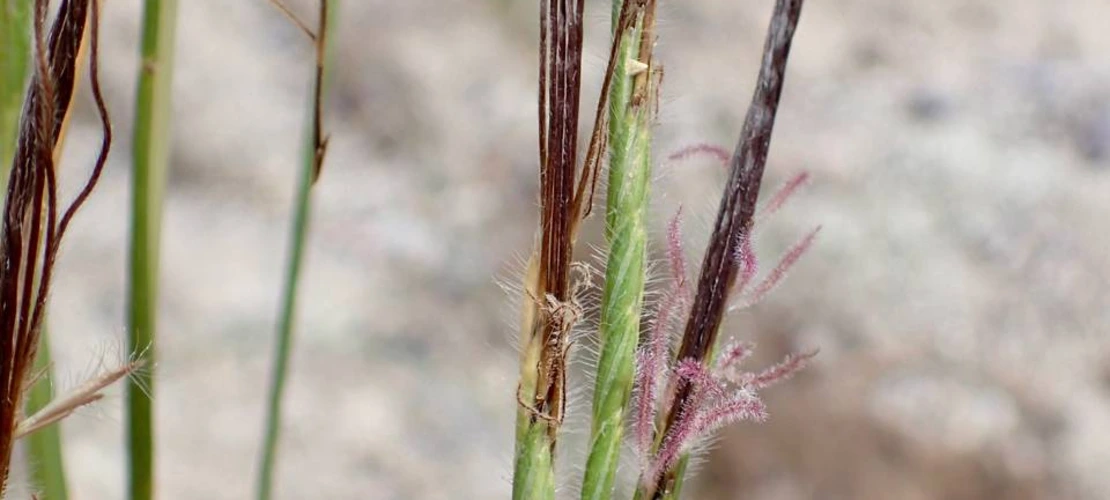 Sorry, no alternate text available