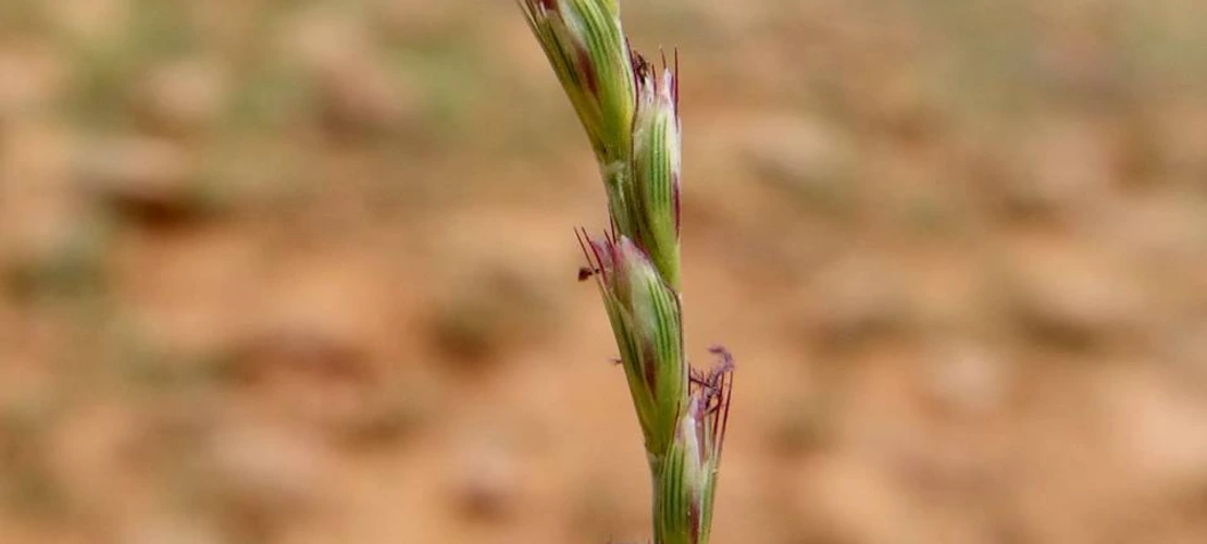 Sorry, no alternate text available