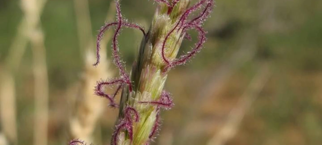 Sorry, no alternate text available