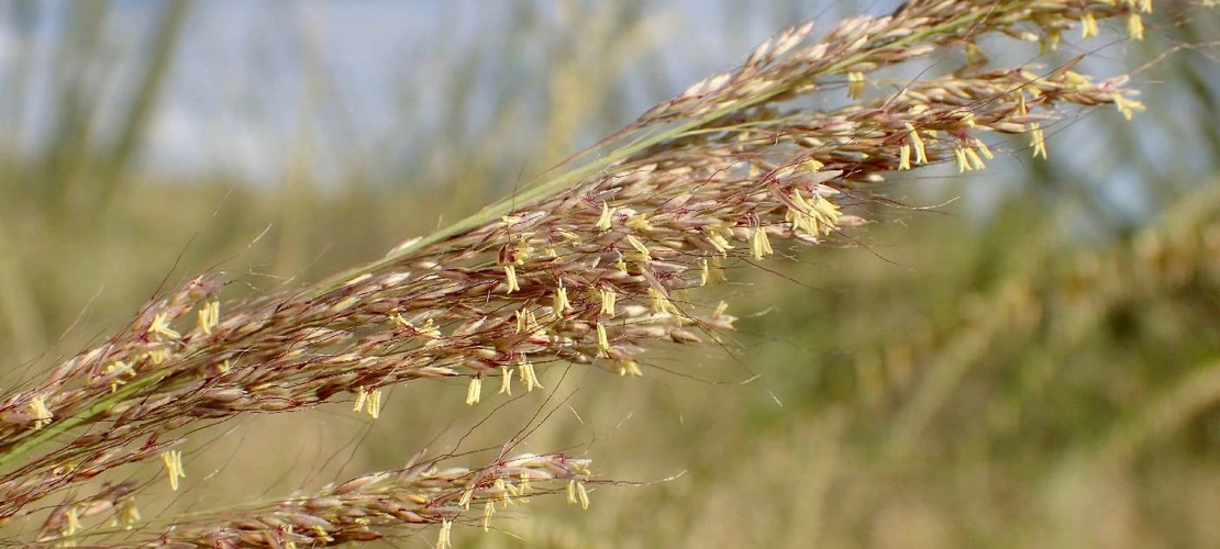 Sorry, no alternate text available