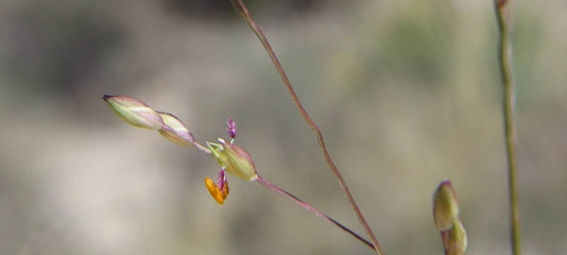 Sorry, no alternate text available