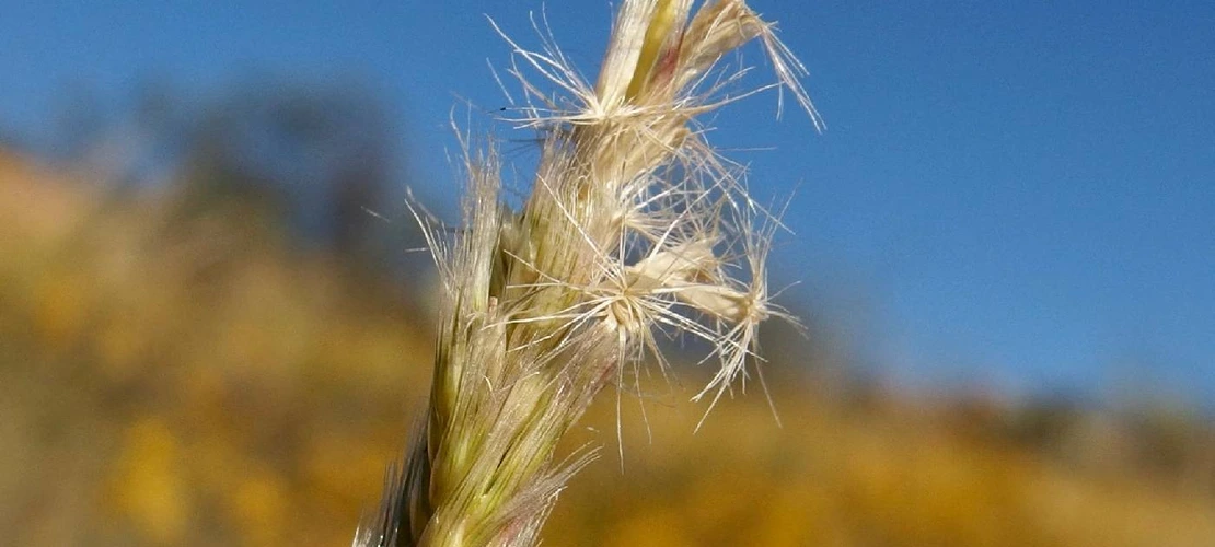 Sorry, no alternate text available