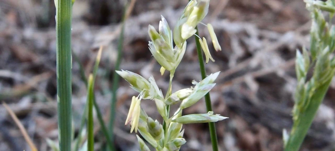 Sorry, no alternate text available