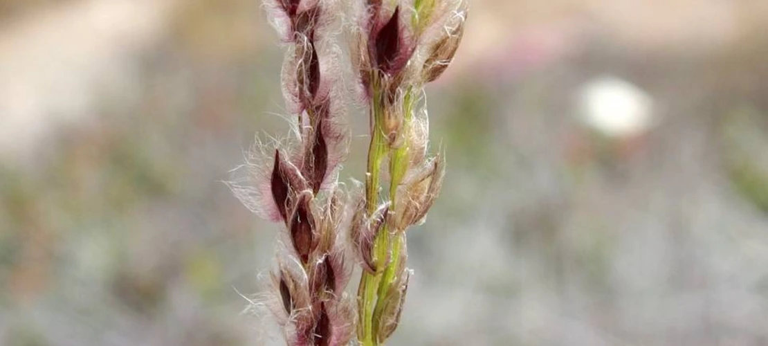 Sorry, no alternate text available