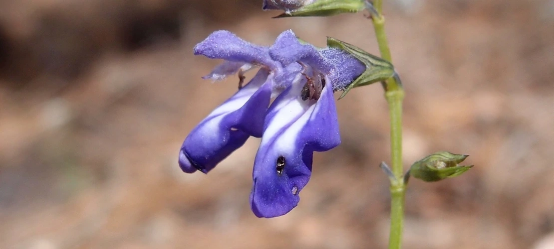 Sorry, no alternate text available