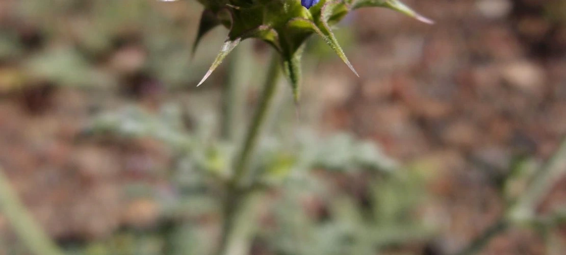 Sorry, no alternate text available