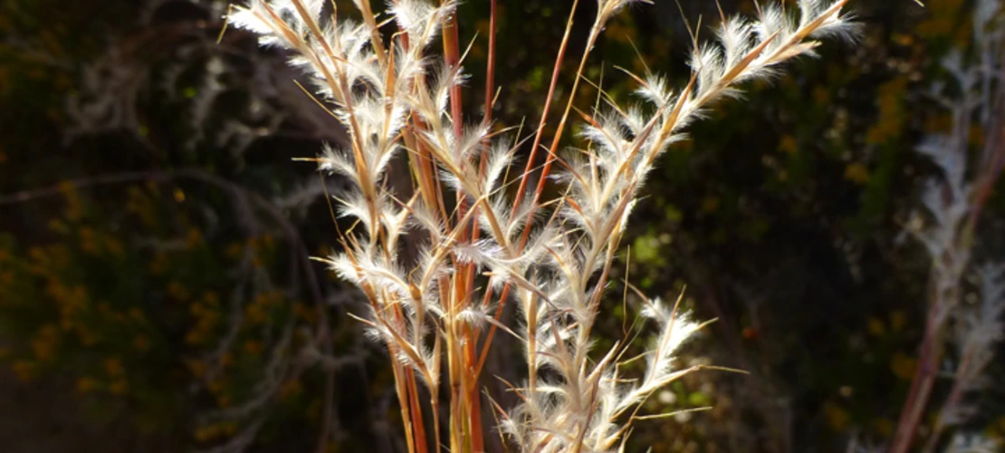 Sorry, no alternate text available