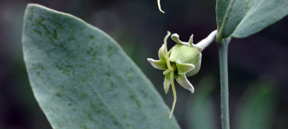 Sorry, no alternate text available