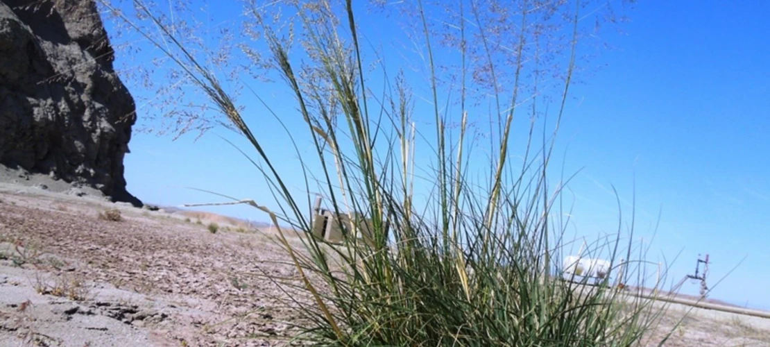 Sorry, no alternate text available