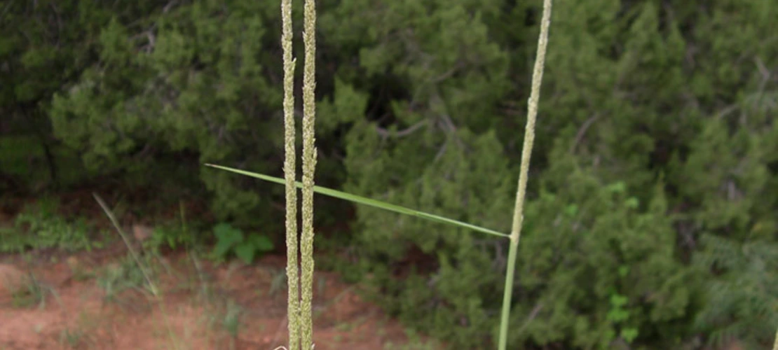 Sorry, no alternate text available