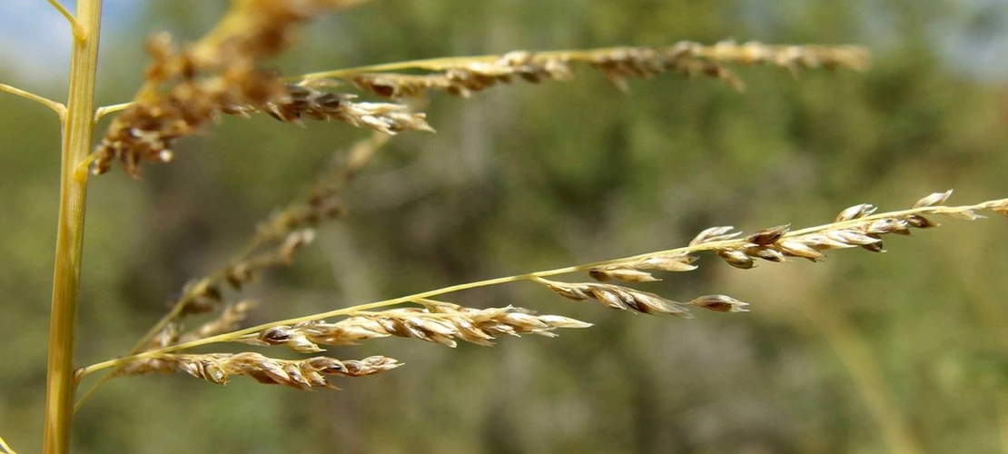 Sorry, no alternate text available