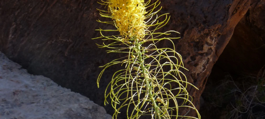 Sorry, no alternate text available