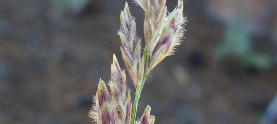 Sorry, no alternate text available