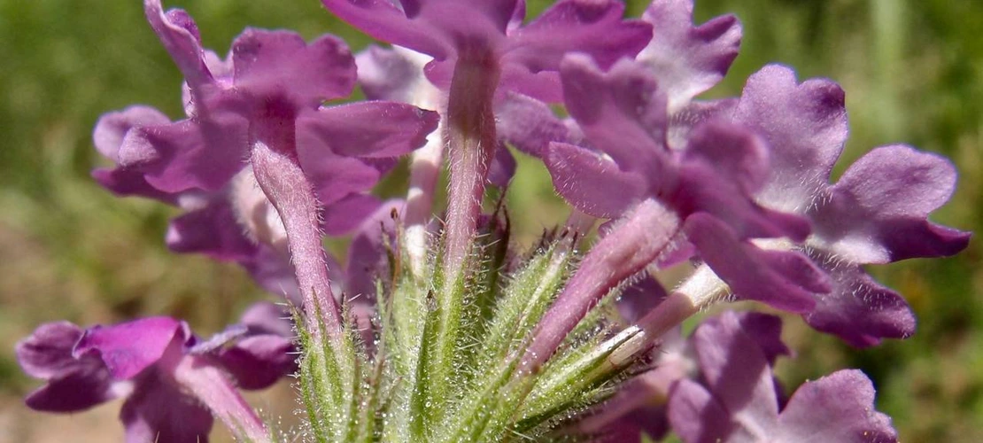 Sorry, no alternate text available