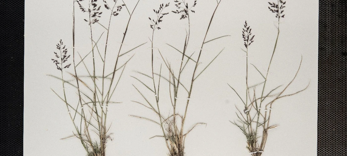 Sorry, no alternate text available