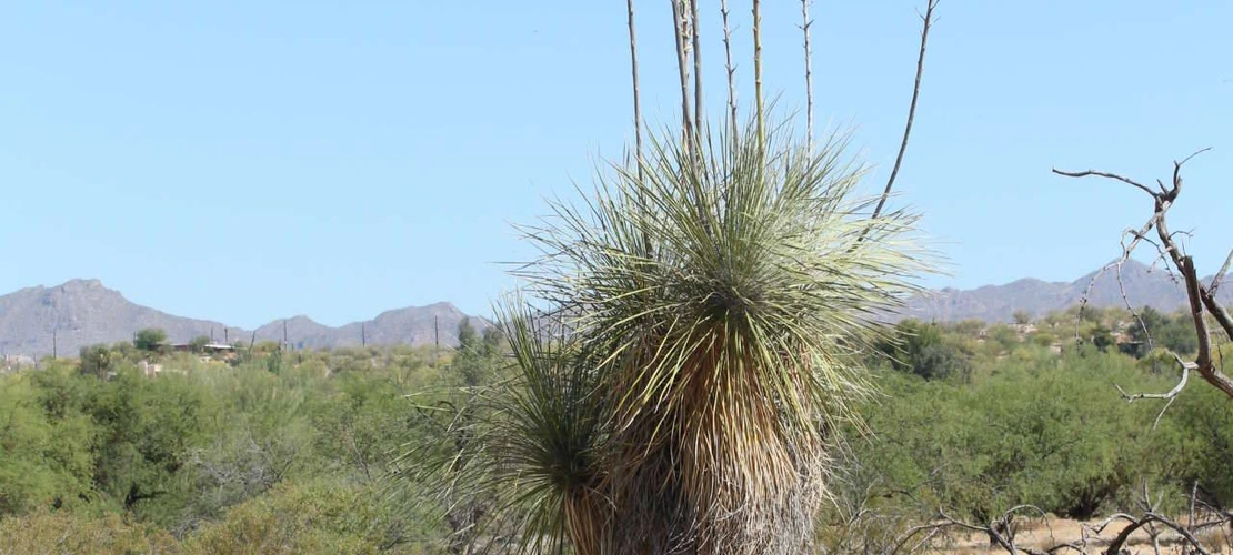 Sorry, no alternate text available