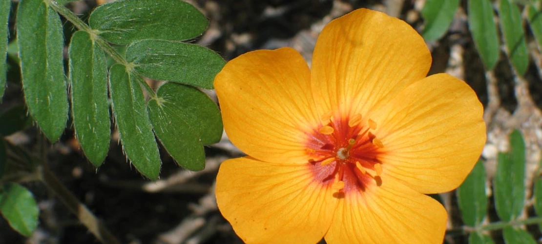 Sorry, no alternate text available