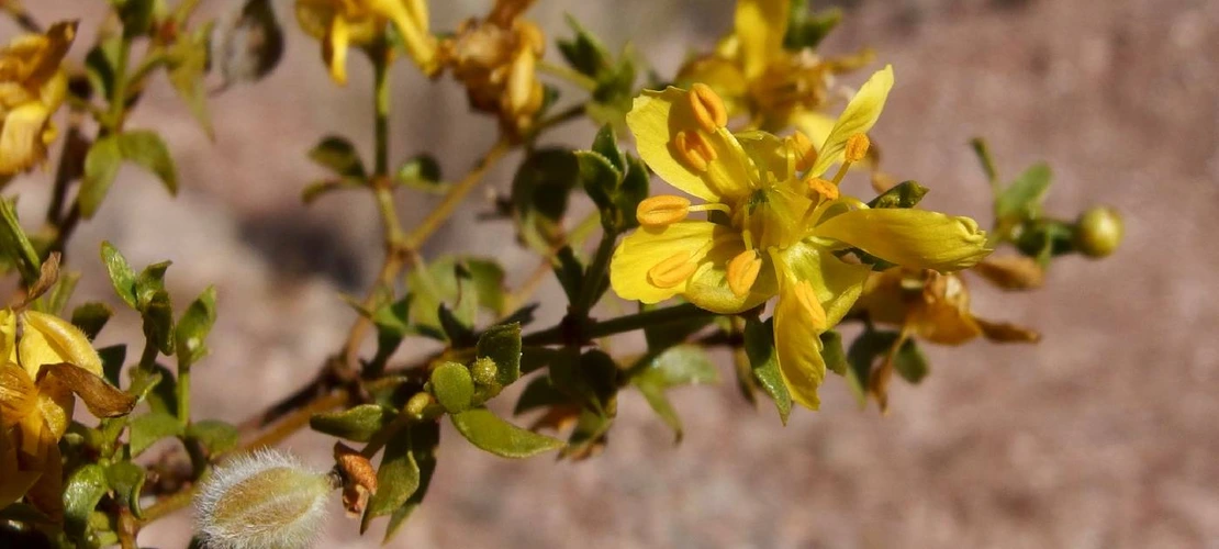 Sorry, no alternate text available