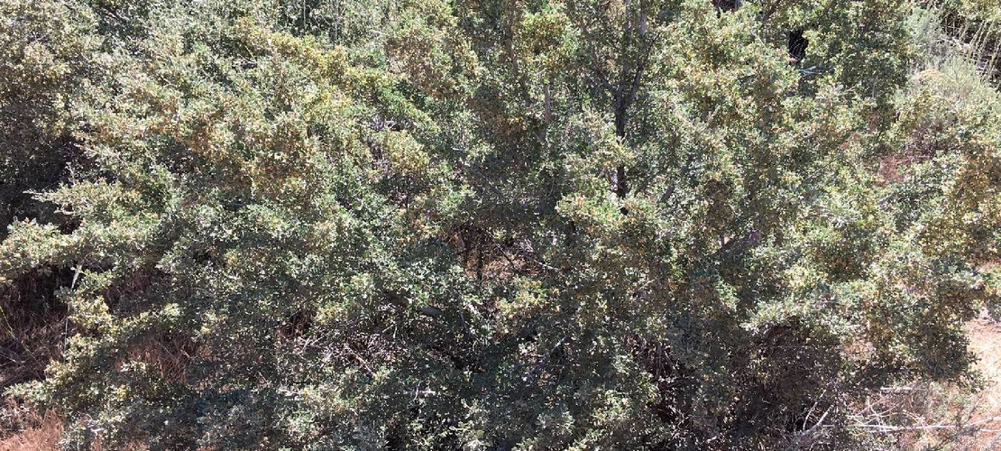 Sorry, no alternate text available